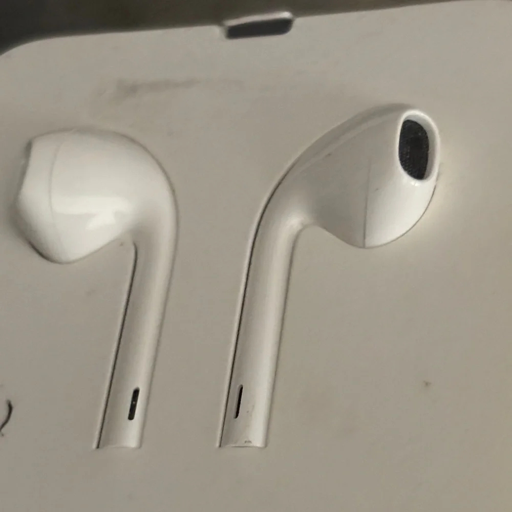 Apple White Wired Earbuds in Protective Case